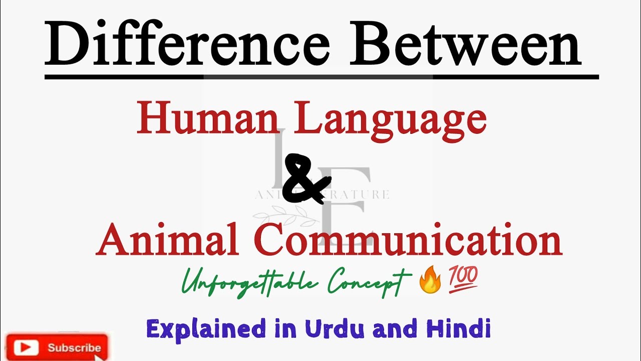 Difference Between Human Language & Animal Communication #animalcommunication