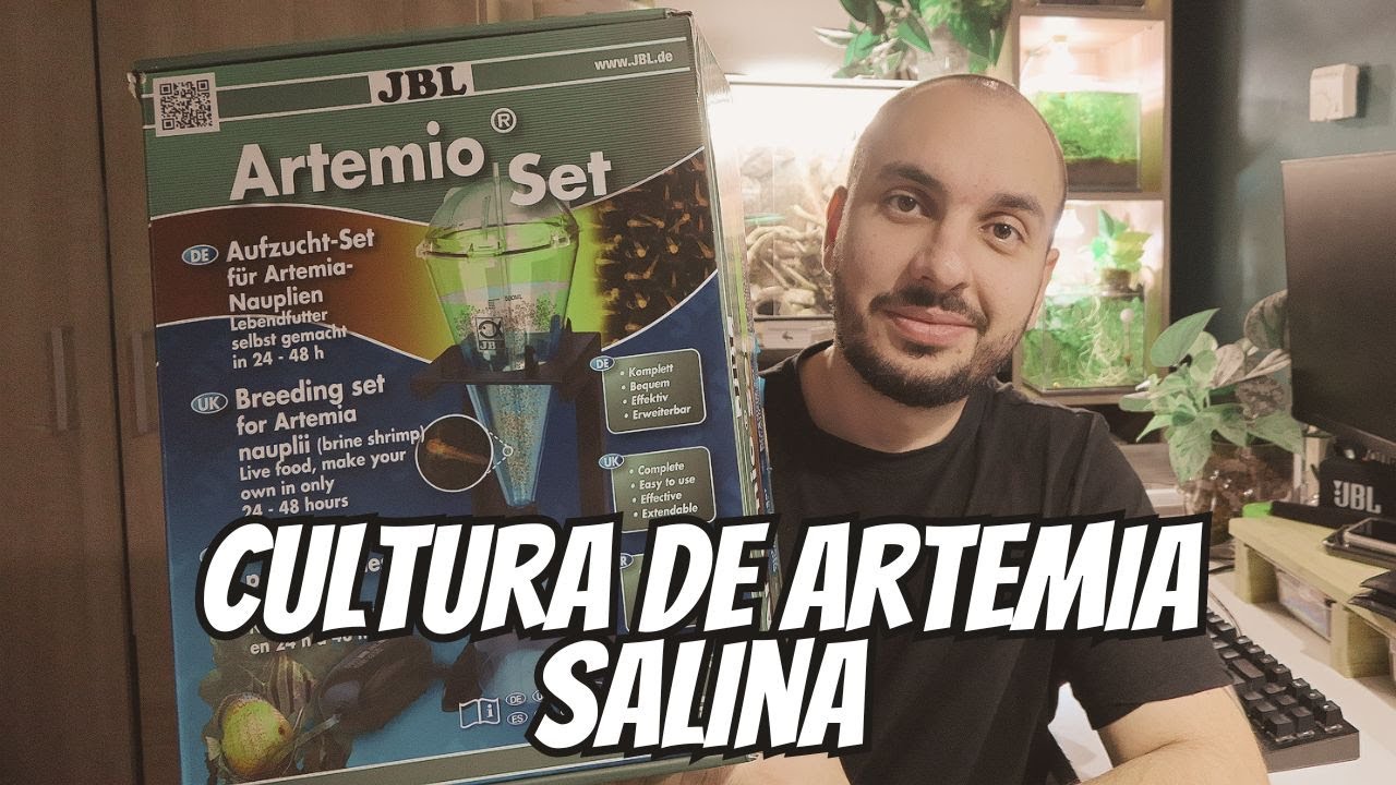 CUM SE FACE O CULTURA DE ARTEMIA SALINA?