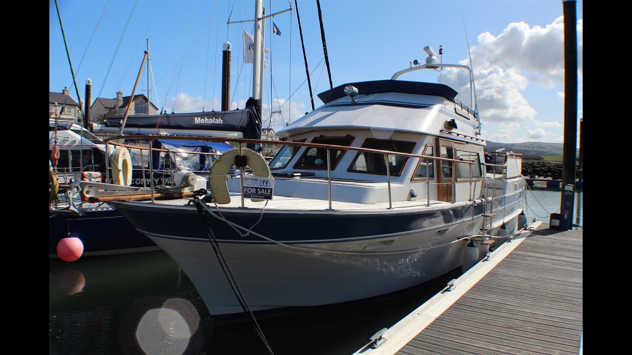 Trader 41