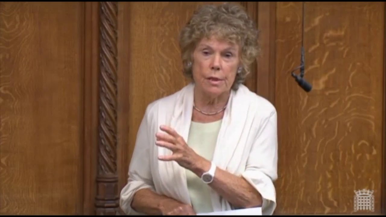 Did Angela Merkel have a copy of the White Paper before MPs? - Kate Hoey