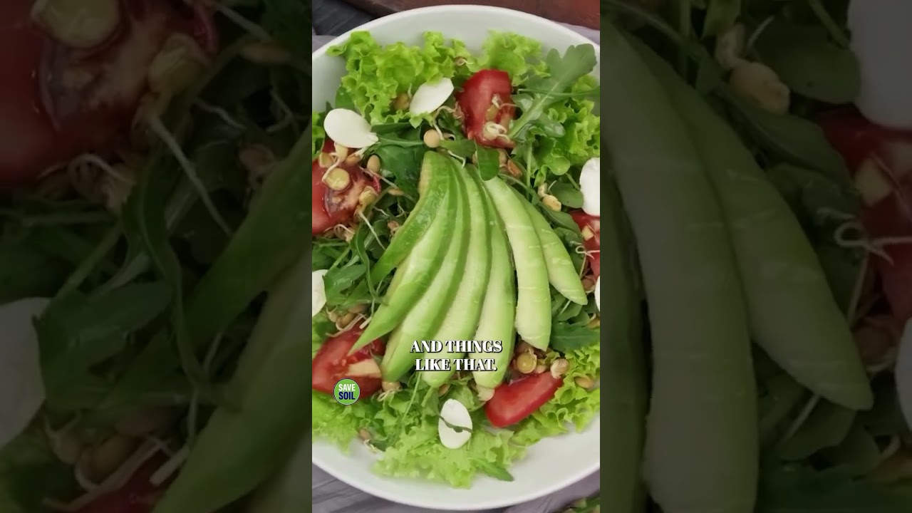 Anemia & Veg Diet &ndash; Myth Buster