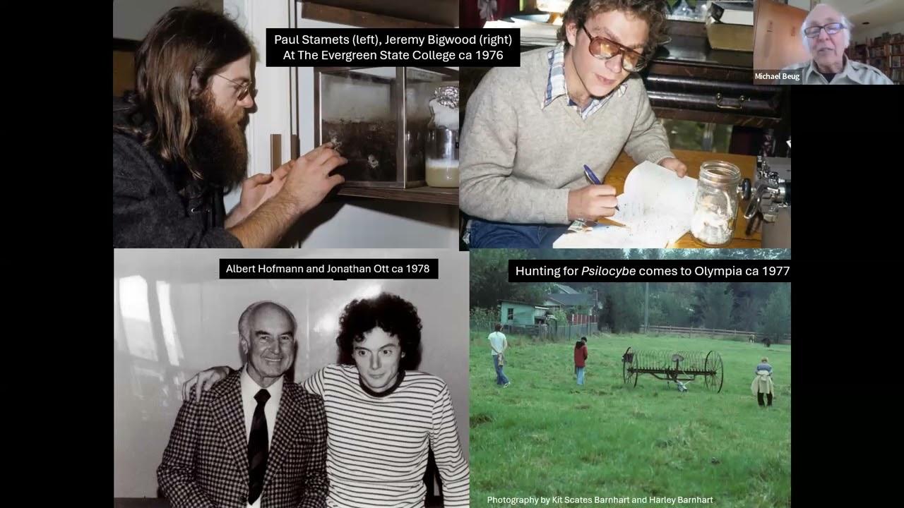 Michael Beug: Fantastic Fungi to Save Body, Mind, Spirit, and the Planet