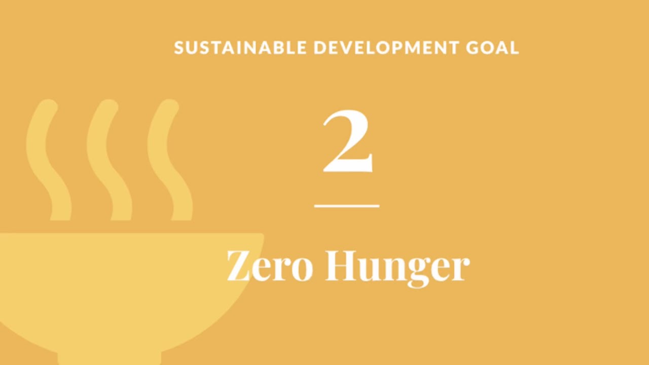 SDG 2 | Zero Hunger | Advocacy Video | Health, Nutrition, and Safety 🗣️