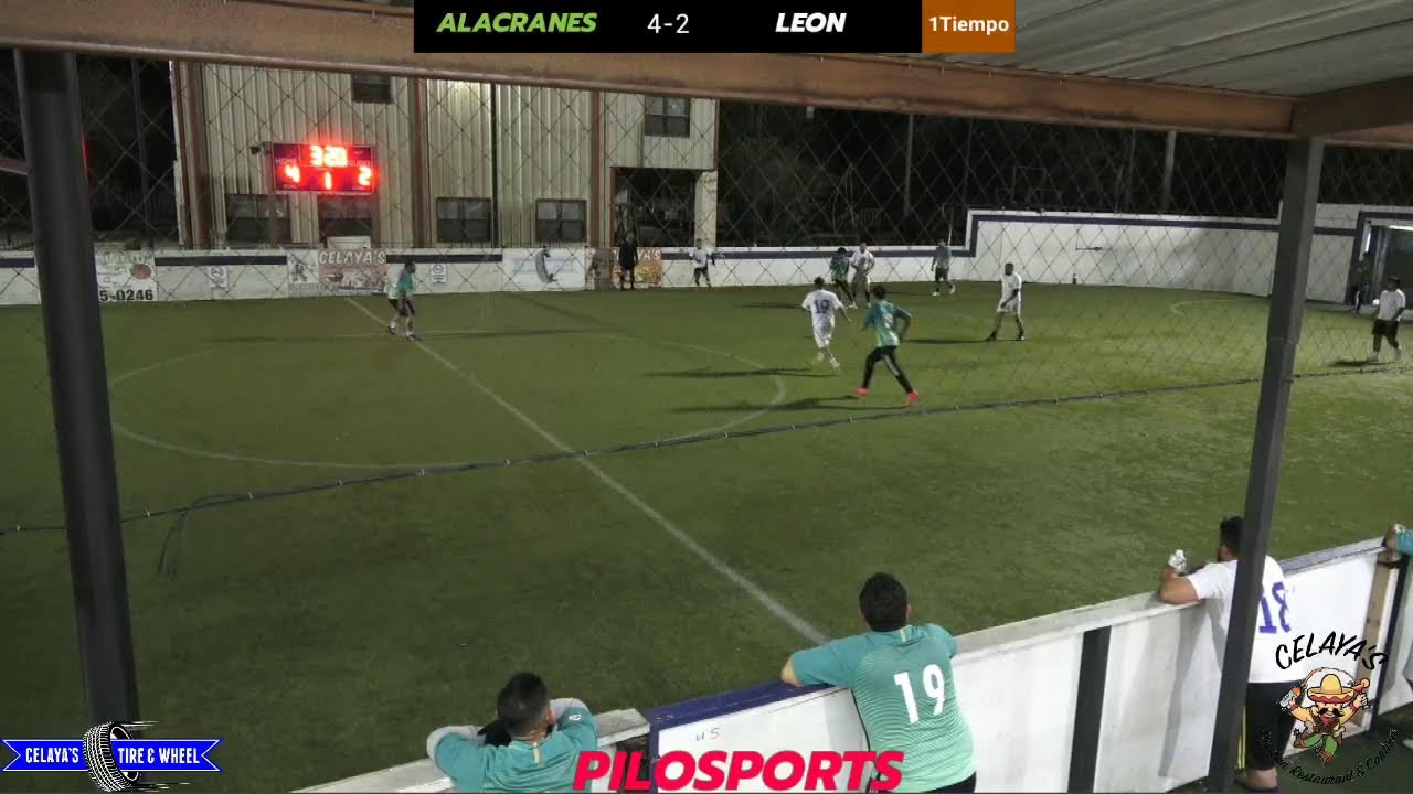 ALACRANES FC VS LEON FUT BOL RAPIDO DE LOS LUNES CELAYAS SPORTS LEAGUE