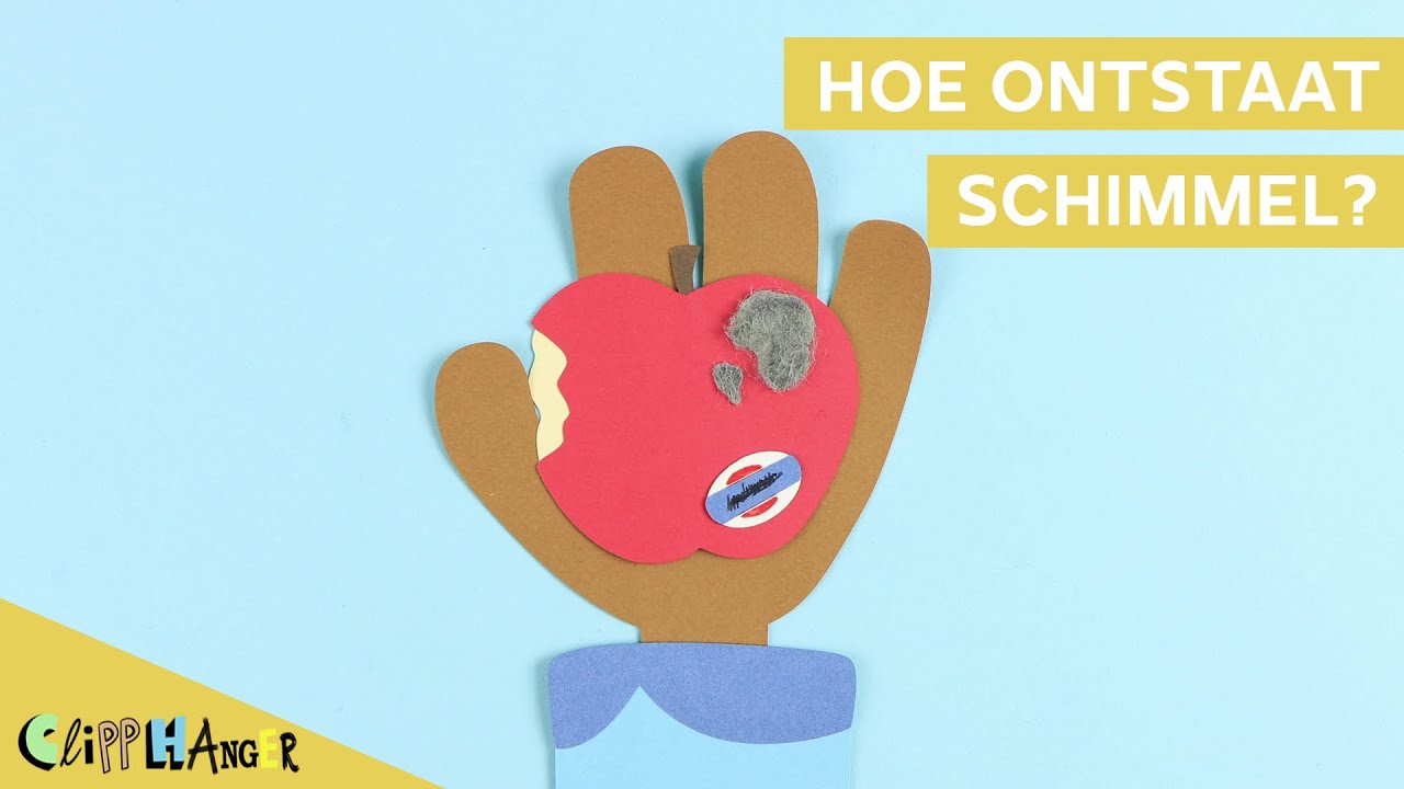 Hoe ontstaat schimmel op je eten?
