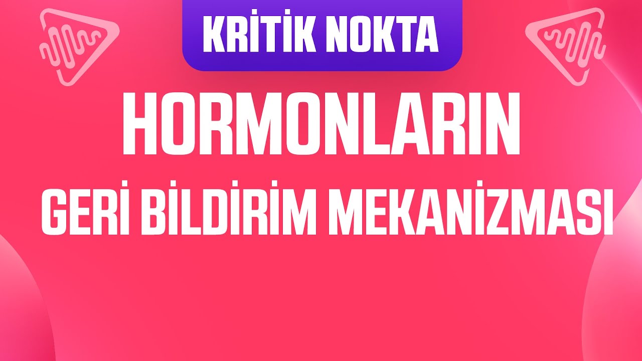 HORMONLARIN GERİ BİLDİRİM (FEED BACK) MEKANİZMASI NASIL ÇALIŞIR