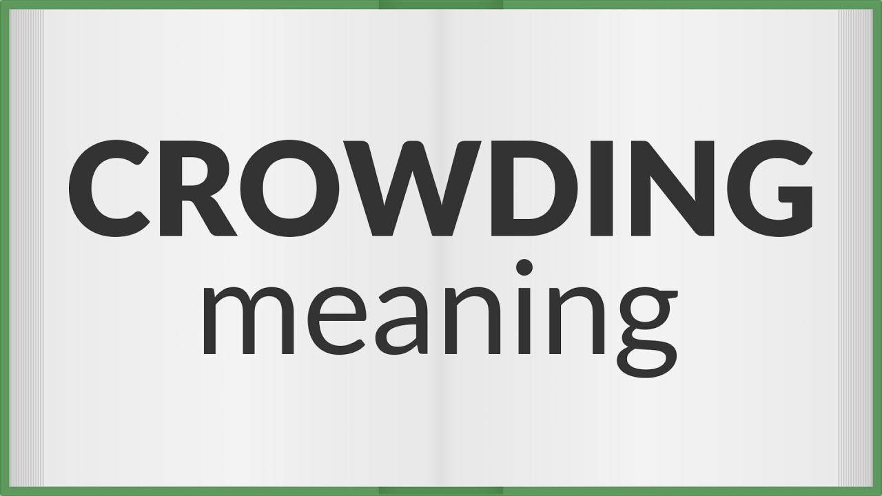 Crowding | meaning of Crowding
