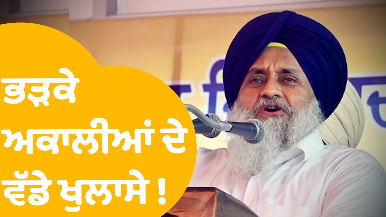 Akali Dal | ਭੜਕੇ ਅਕਾਲੀਆਂ ਦੇ ਏਹ ਵੱਡੇ ਖੁਲਾਸੇ ! | Punjab Tak