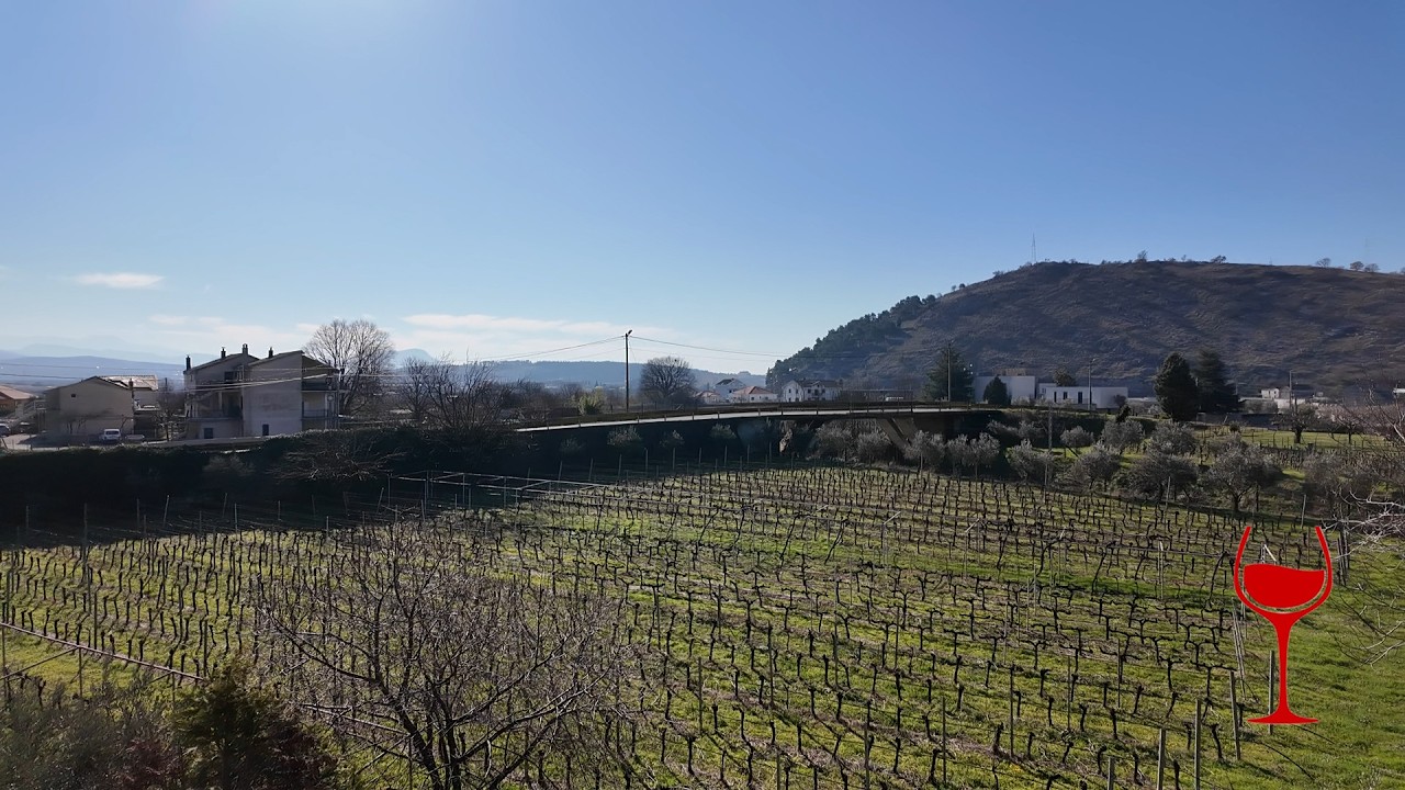 Zenta Vinarija Vučinić—unforgettable wine experiences in Podgorica, Montenegro!