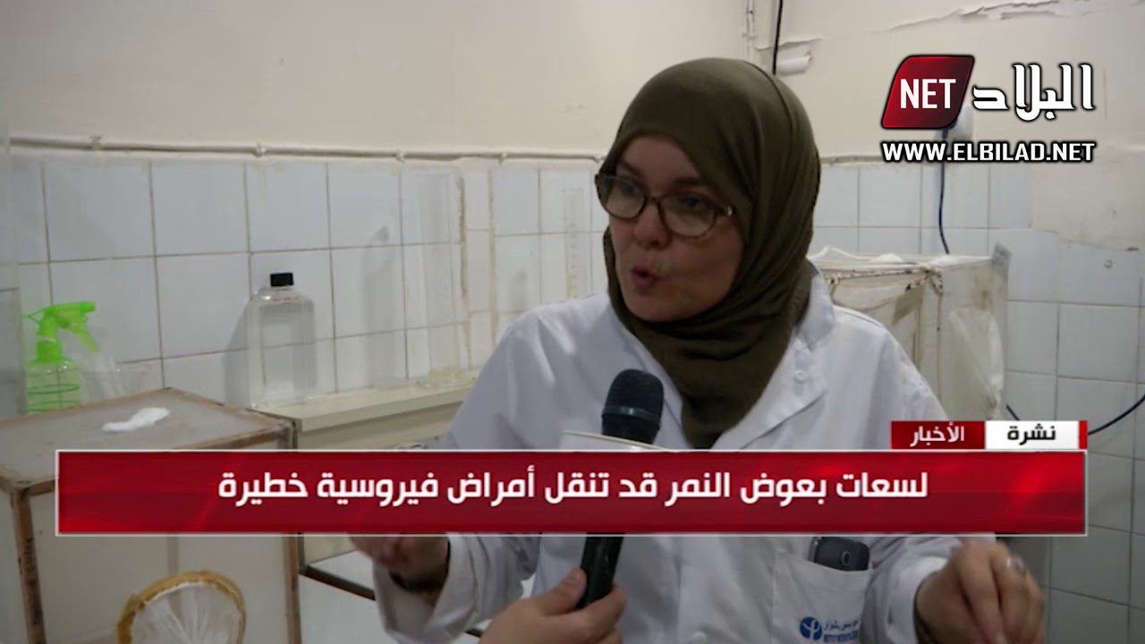 كل ما يجب معرفته عن بعوضة النمر.. معهد باستور يجيب