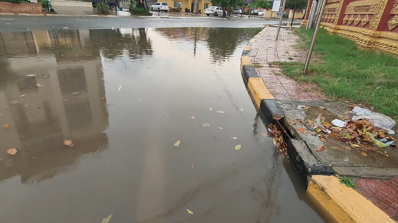Remove leaves clogged drain culvert rain water after heavy rainstorm