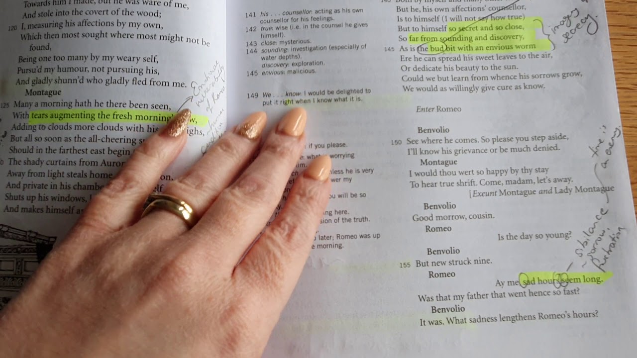 4.  Annotation of Romeo & Juliet -  Act 1 Scene 1 Part 2