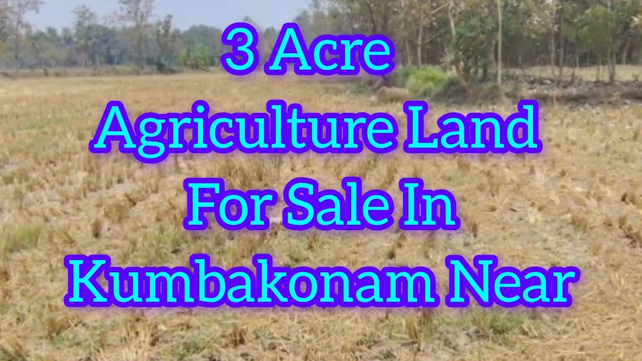 3 Acre Agriculture Land For Sale In Kumbakonam Near / #agriculturelandforsale 