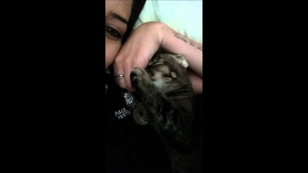 Kiki Kush Monster Kisses