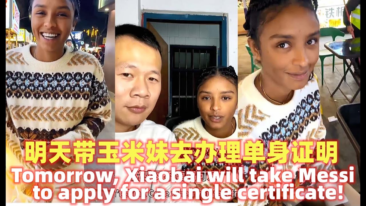明天小白就要带着玉米妹去办理单身证明！Tomorrow, Xiaobai will take Messi to apply for a single certificate!