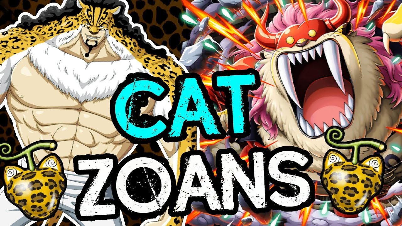 🐱 CAT ZOANS In One Piece!! 🐱