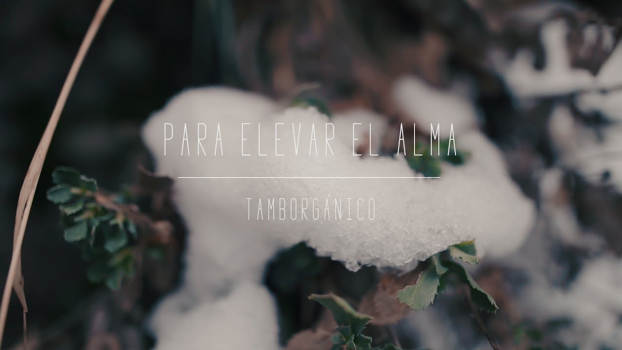 TAMBOR DE LENGÜETAS - 