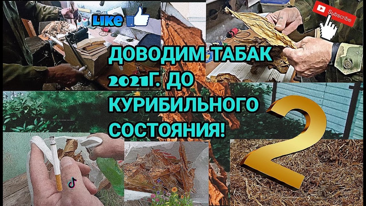 Табак 2021 года доводим до курибильного состояния ( ЧАСТЬ 2 )