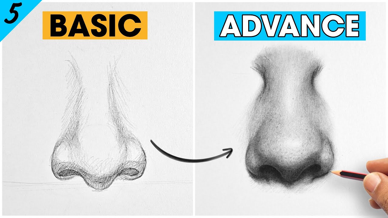 How to Draw Nose - Basic to Advance Portrait Drawing ( Lesson 5 ) for beginners 