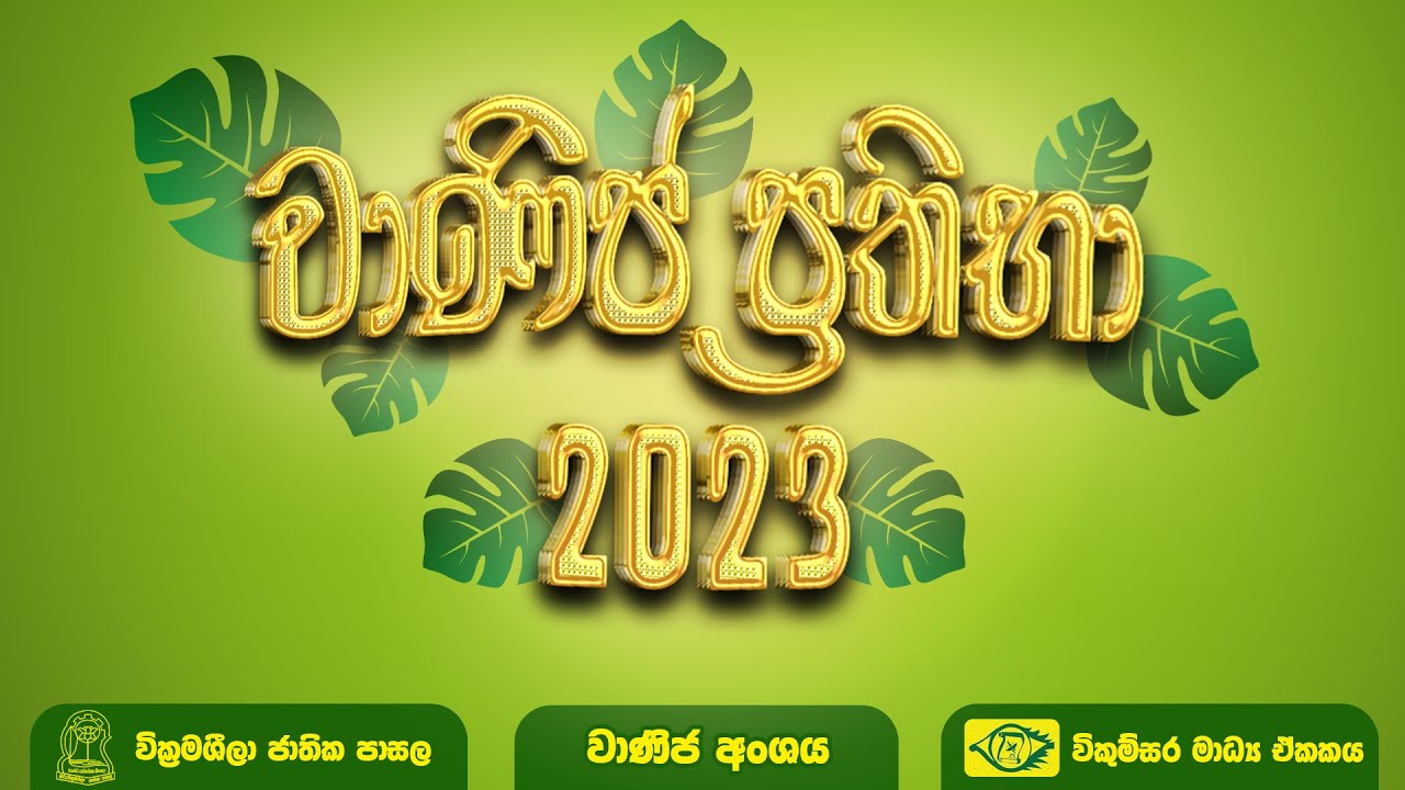 සිහිනය සැබෑ වූ අයුරු | වාණිජ ප්‍රතිභා - 2023 | වික්‍රමශීලා ජාතික පාසල