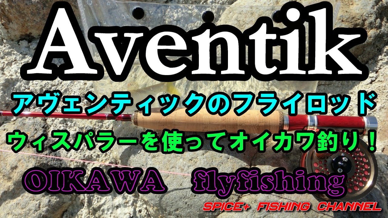 【オイカワ　フライフィッシング】Aventik Whisperer 6ft1in LW0/1 flyfishing　rod　review　アヴェンティック　というメーカーのフライロッドでオイカワ釣り！