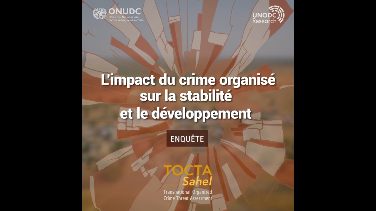 Impact de la criminalité organisée transnationale sur la stabilité et le développement au Sahel