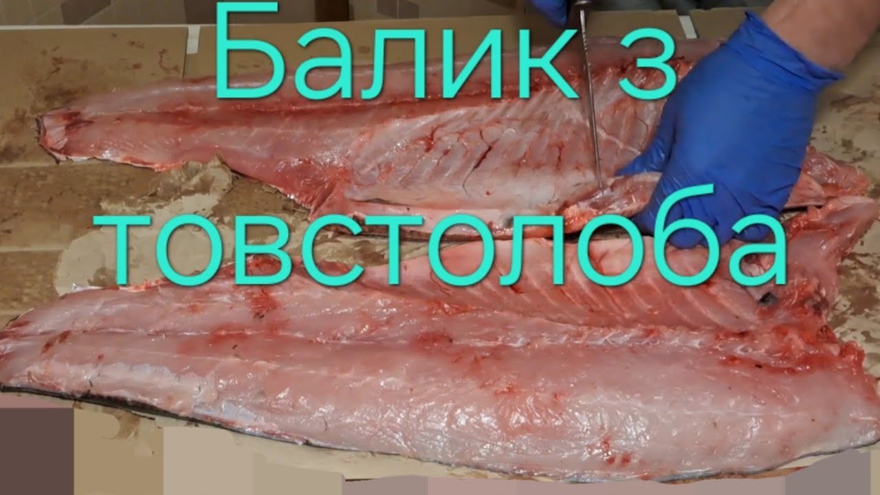 Як розібрати товстолоба на балик. #толстолобик #рыба #рецепты #еда #копченаярыба