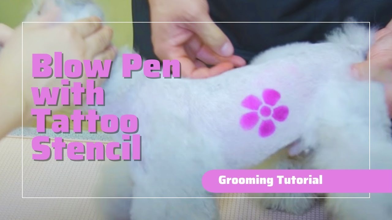 How to Use OPAWZ Blow Pen