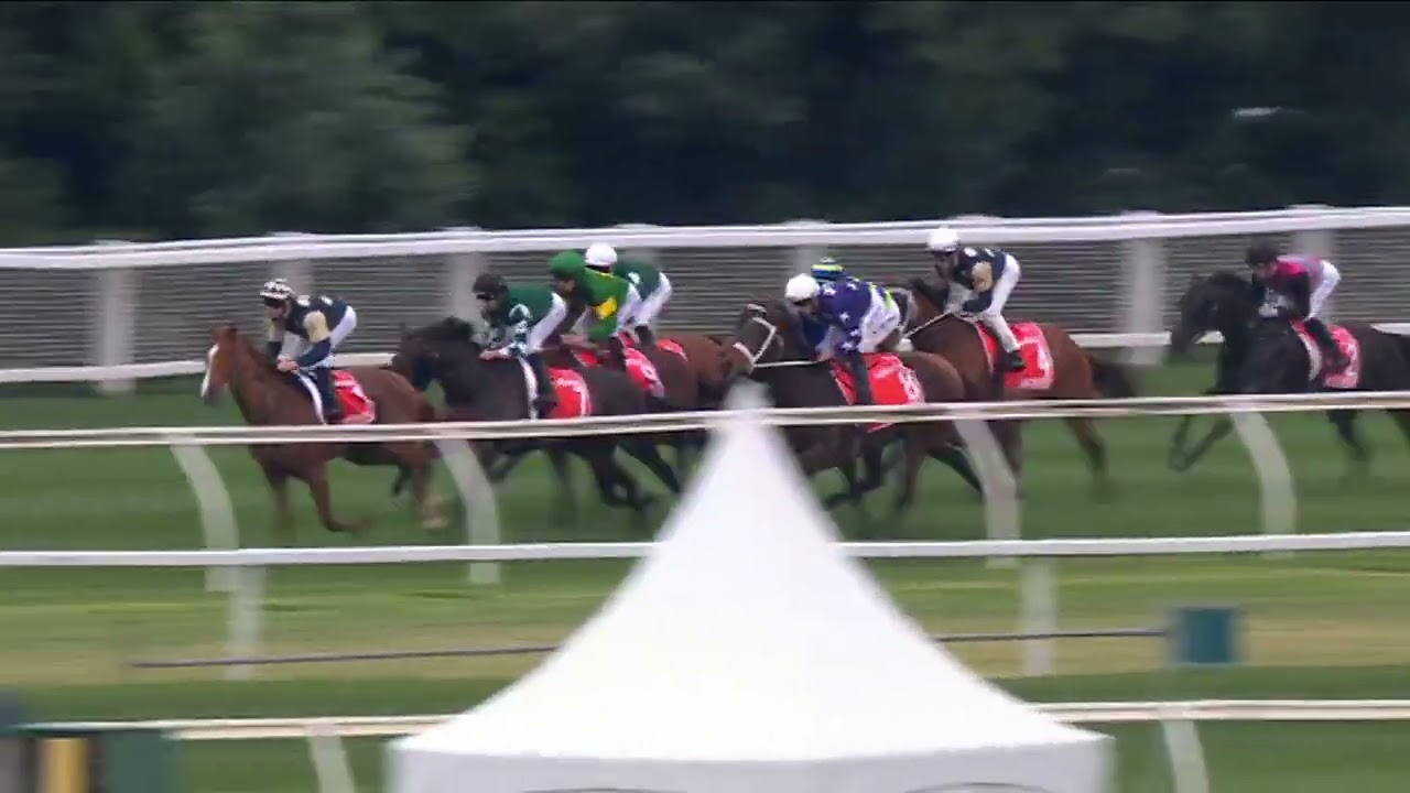 VIA SISTINA - Cox Plate 2025 (3 года+ WFA G1) Группа 1, Муни-Вэлли, 25 октября