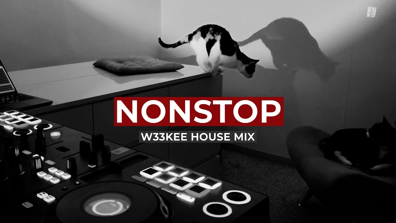Driving 🍋 Non-stop Mix (30 MIN) | Tech House & Bass House | W33KEE 05