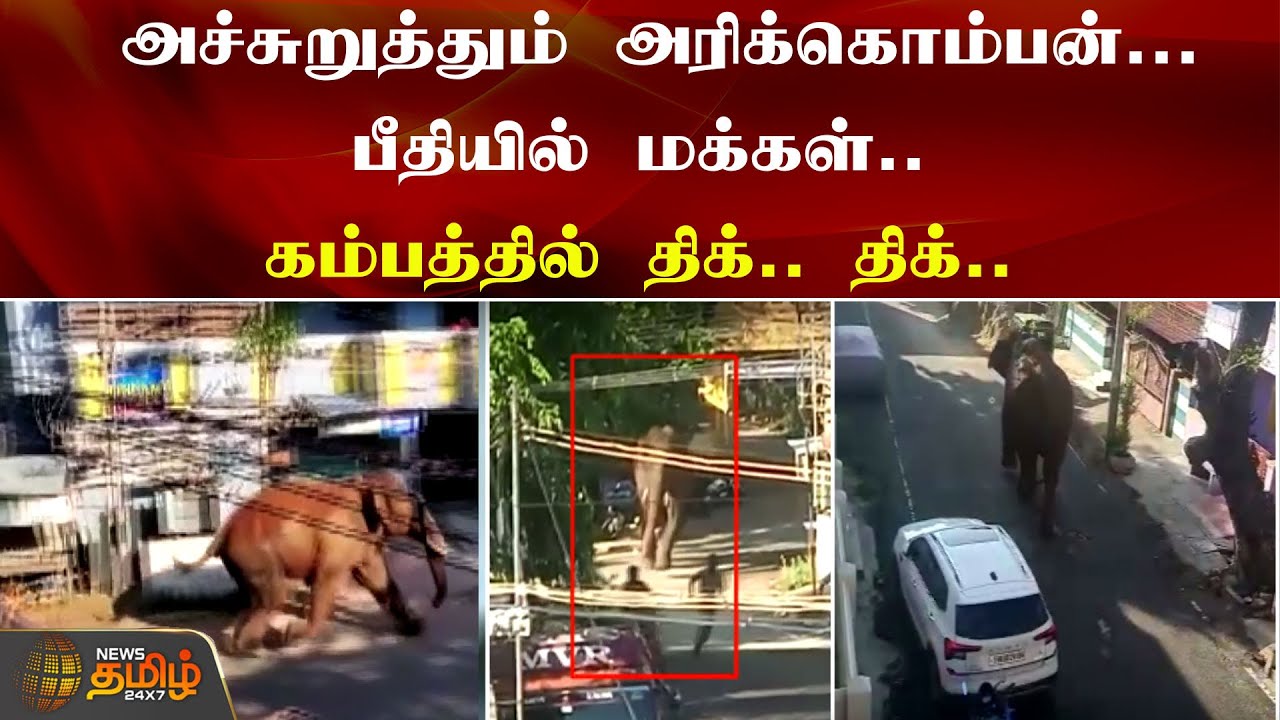 அச்சுறுத்தும் அரிக்கொம்பன்...பீதியில் மக்கள்.. கம்பத்தில் திக்.. திக்.. | Kambam