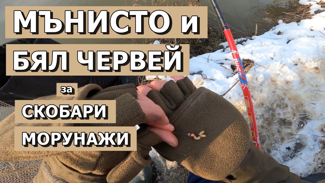 МЪНИСТО и БЯЛ ЧЕРВЕЙ за СНЕЖНИ СКОБАРИ и МОРУНАЖИ.РИБОЛОВ с БОЛОНЕЗА и ПЛУВКА еп 18