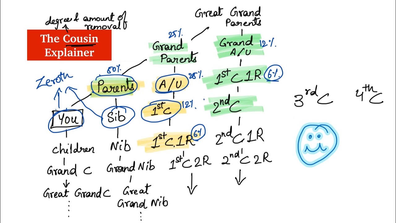 The Cousin Explainer