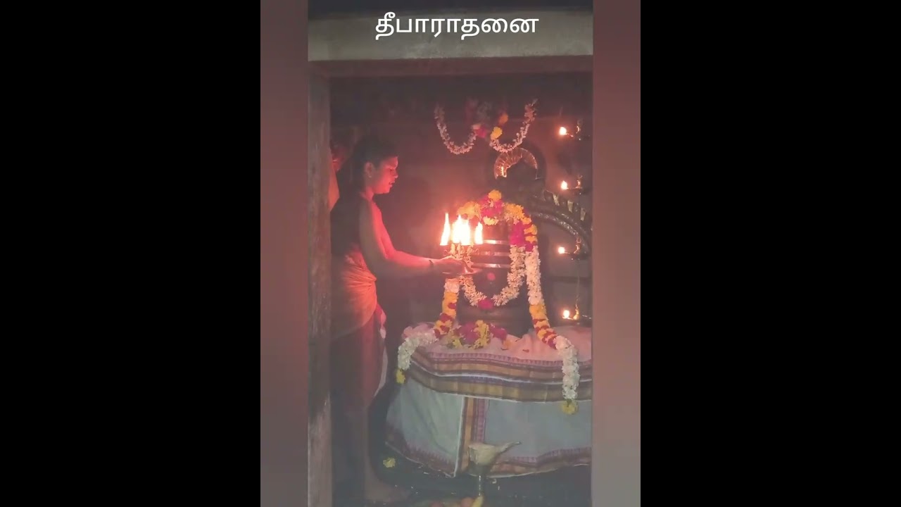 திருக்குழம்பியம் கோகிலேஸ்வரர் தேவஸ்தானம் சனிமஹா பிரதோஷம் 14.2.2026