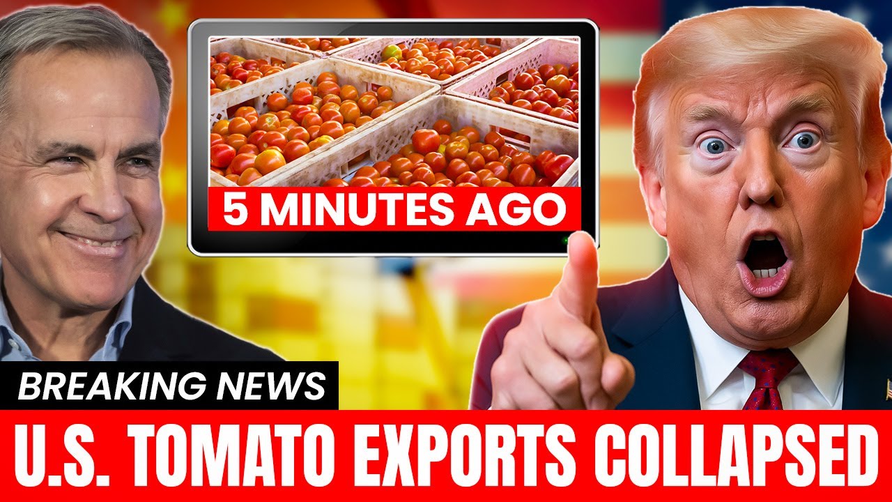 U.S. Faces $1.5B Tomato CRISIS As Mexico Exports Shift To Canada