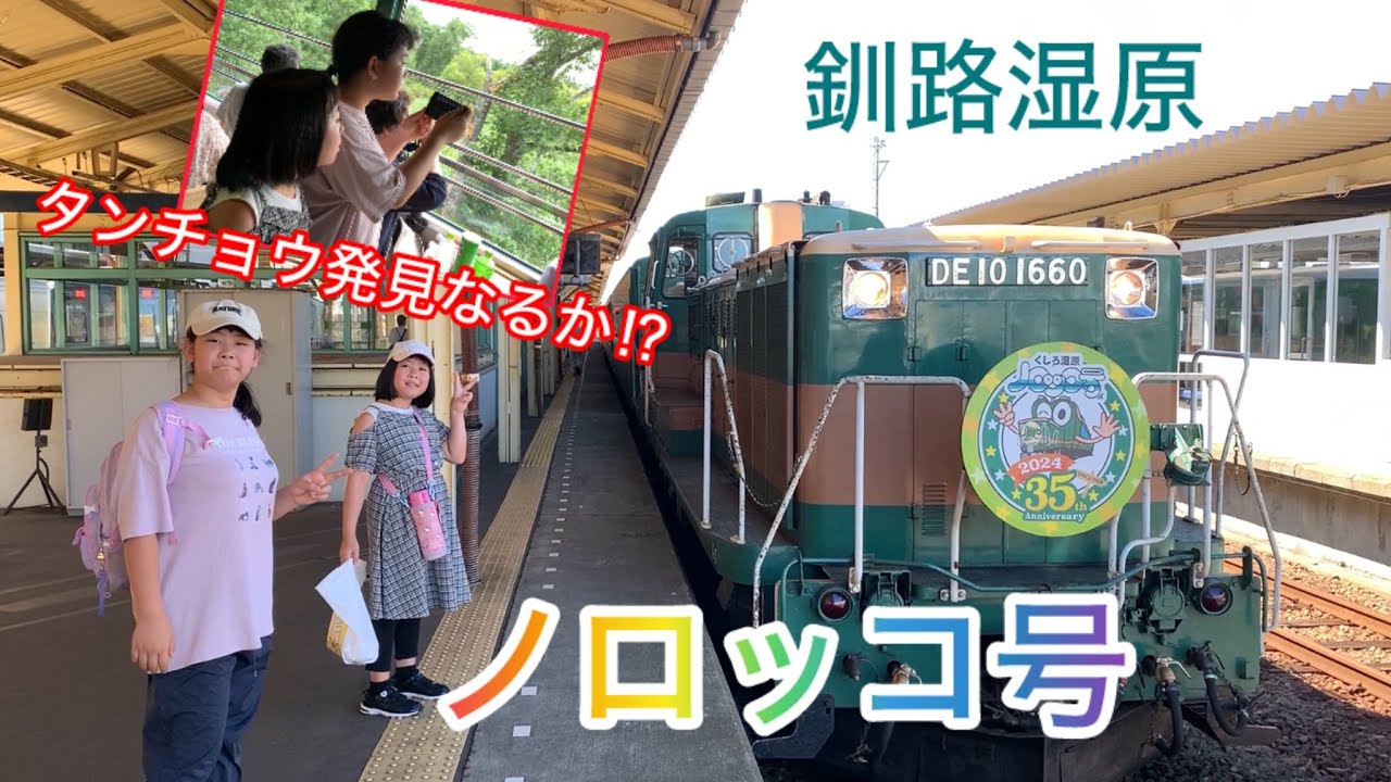 2024年8月 北海道旅行EP.8～ノロッコ号で釧路湿原を縦断！