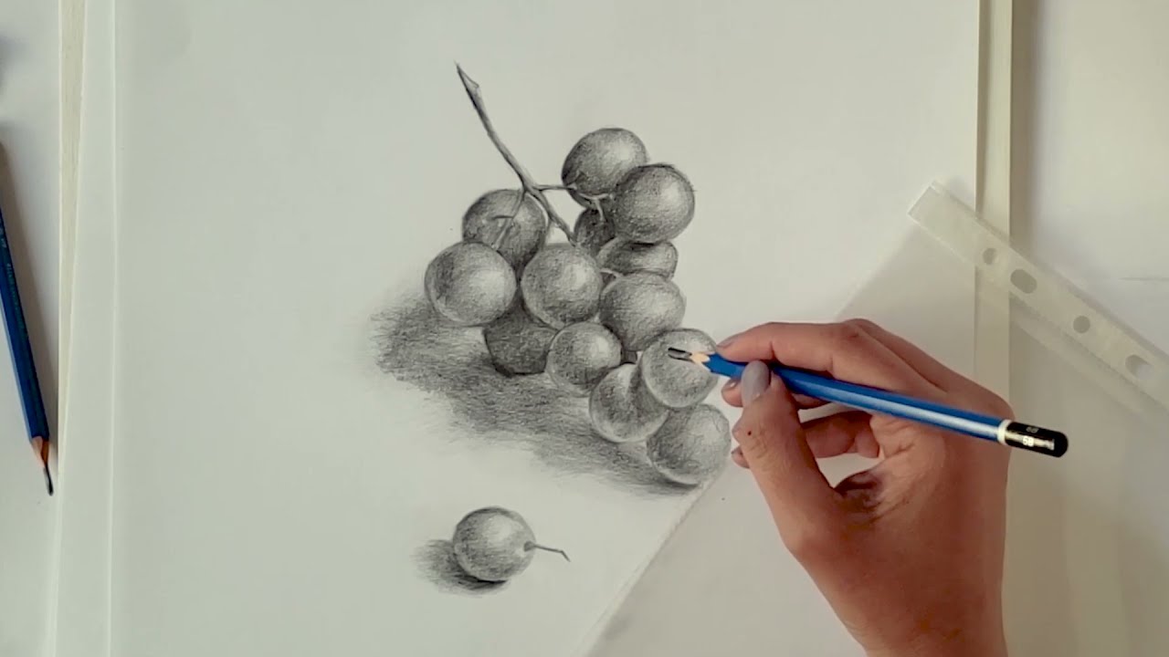 تعلم رسم العنب | رسم الفواكة باقلام الرصاص | طبيعة صامتة