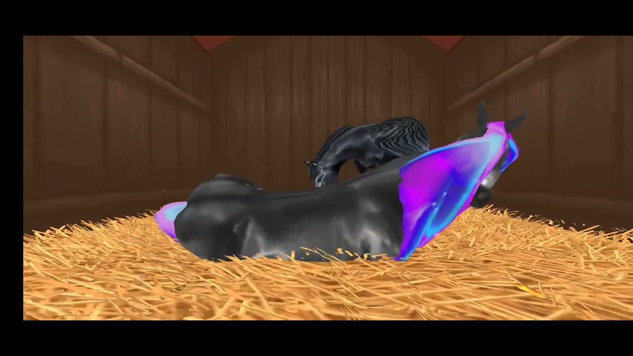 Breeding more horses for my birthday