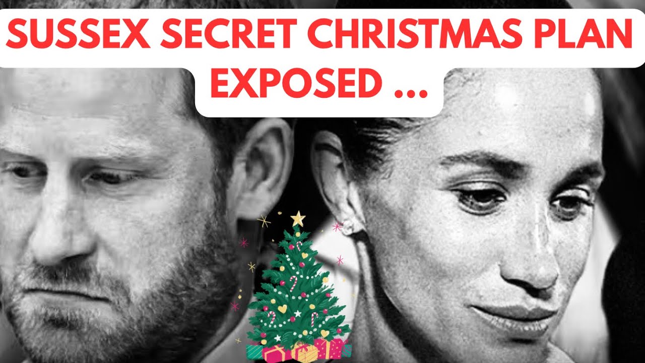 СЕКРЕТНЫЙ РОЖДЕСТВЕНСКИЙ СЮРПРИЗ SUSSEX - РАСКРЫТ - ПОСЛЕДНЕЕ #меган #меганмаркл #рождество