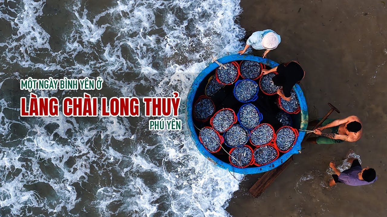 DU LỊCH PHÚ YÊN - Ngày đầy ắp cá cơm ở Làng chài Long Thuỷ - Góc nhìn chân thật| #GauHamDi 49