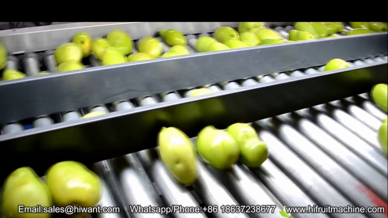Mango juice processing line, mango washing and grading sizing machine