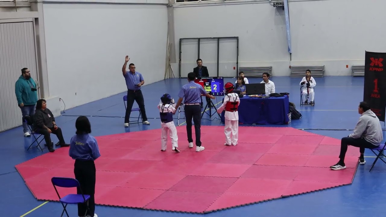 Ramon pelea 1 round 1