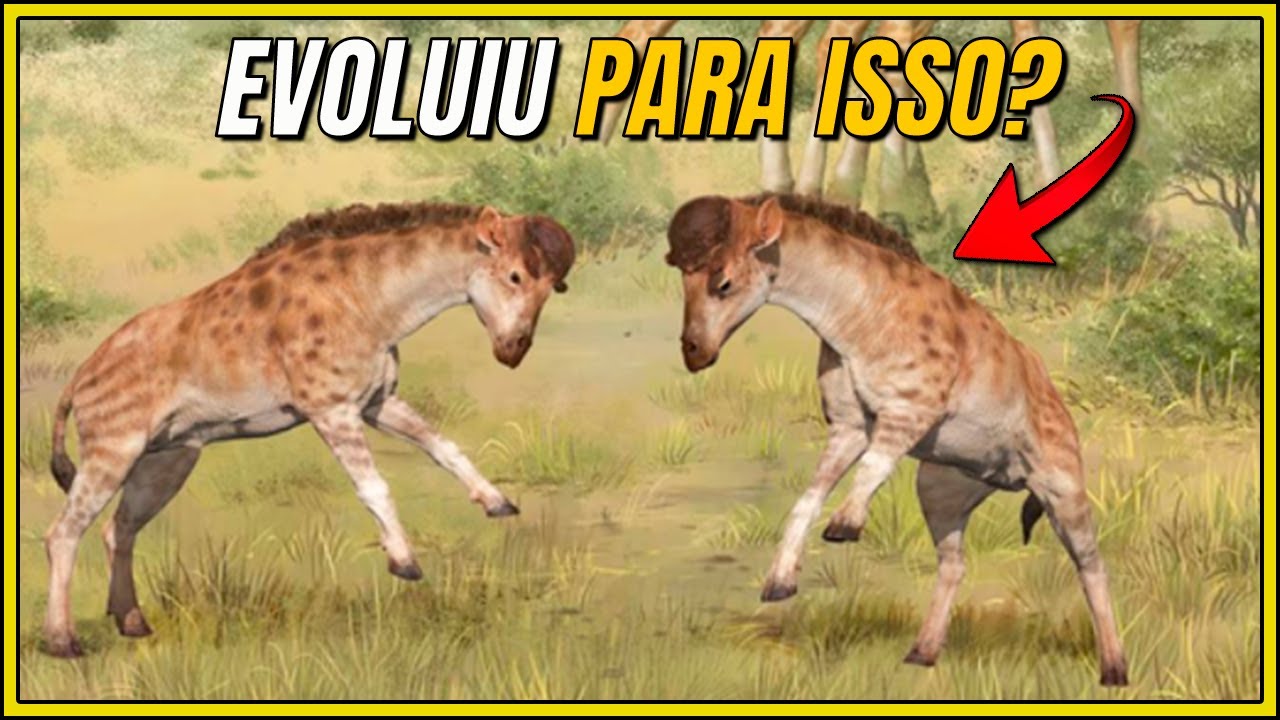 EVOLUÇÃO E DIVERSIDADE DAS GIRAFAS