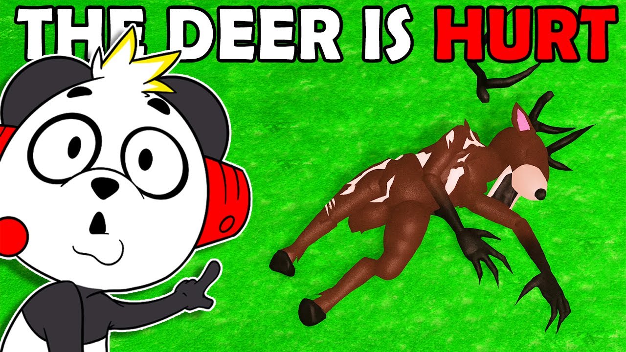 The Deer is HURT…