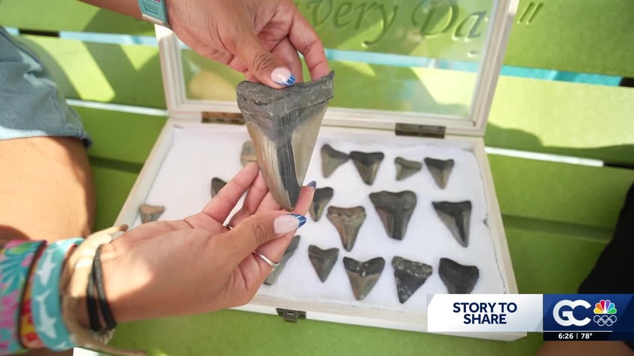 Cape Coral explorer finds massive megalodon fossil