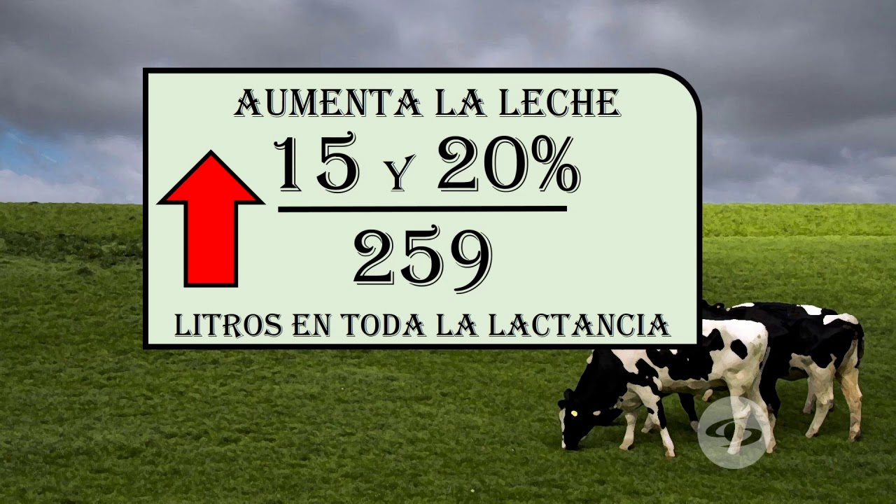 &iquest;Es rentable hacer tres orde&ntilde;os al d&iacute;a? | La Finca de Hoy
