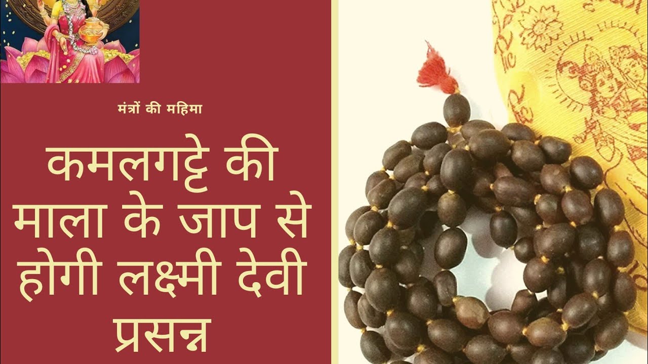 कमलगट्टे की माला के जाप से लक्ष्मी देवी होगी प्रसन्न।