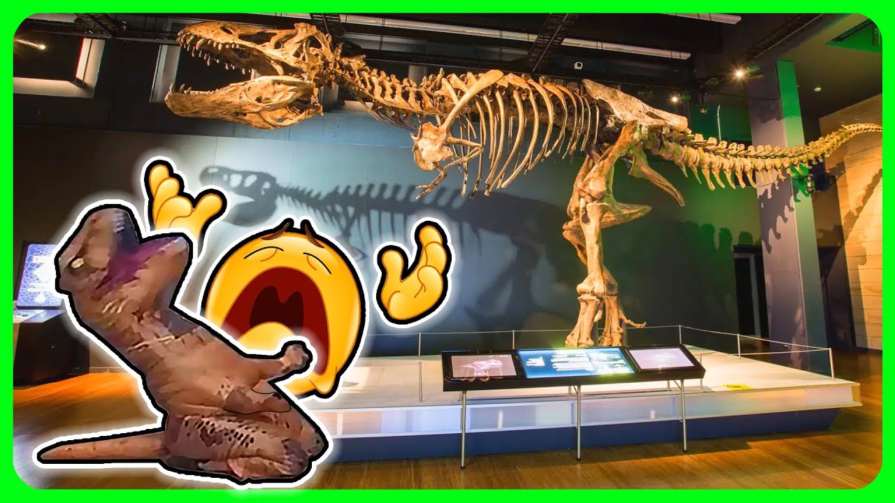 Night at the Museum explained by an idiot