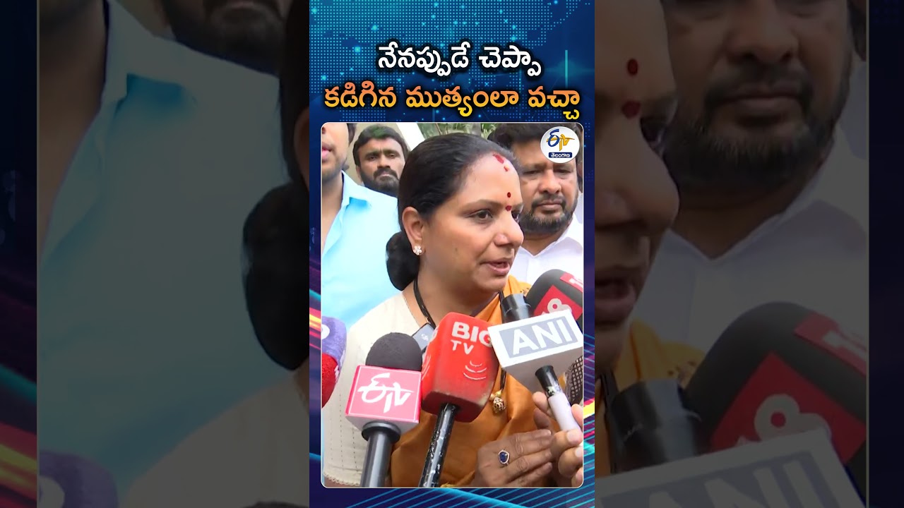 The Court Has Declared Everyone Innocent In The Delhi Liquor Case | Kalvakuntla Kavitha Press Meet