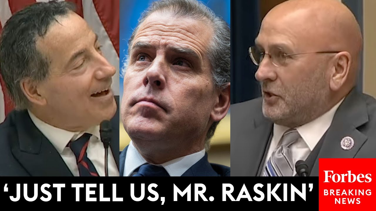 Clay Higgins And Jamie Raskin Outright Debate Hunter Biden's Demand For Public Hearing